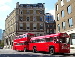 One and a half double decker buses - Ely Place