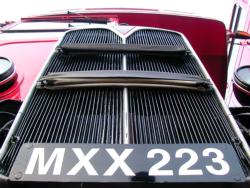 Radiator grille of MXX 223