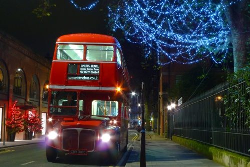 Christmas trees beside bus, blue lights above